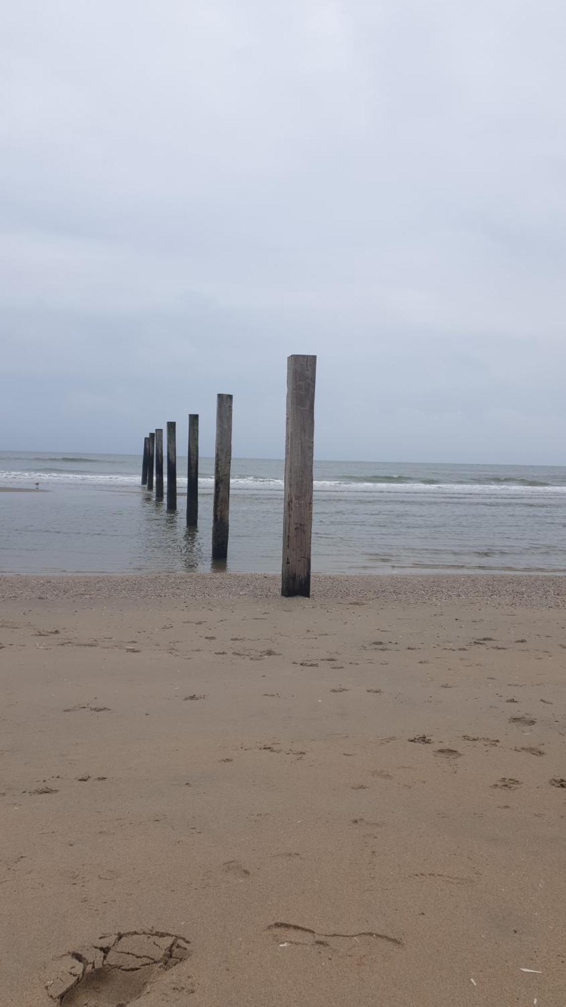 Rembrandts Beach View Zandvoort Dış mekan fotoğraf