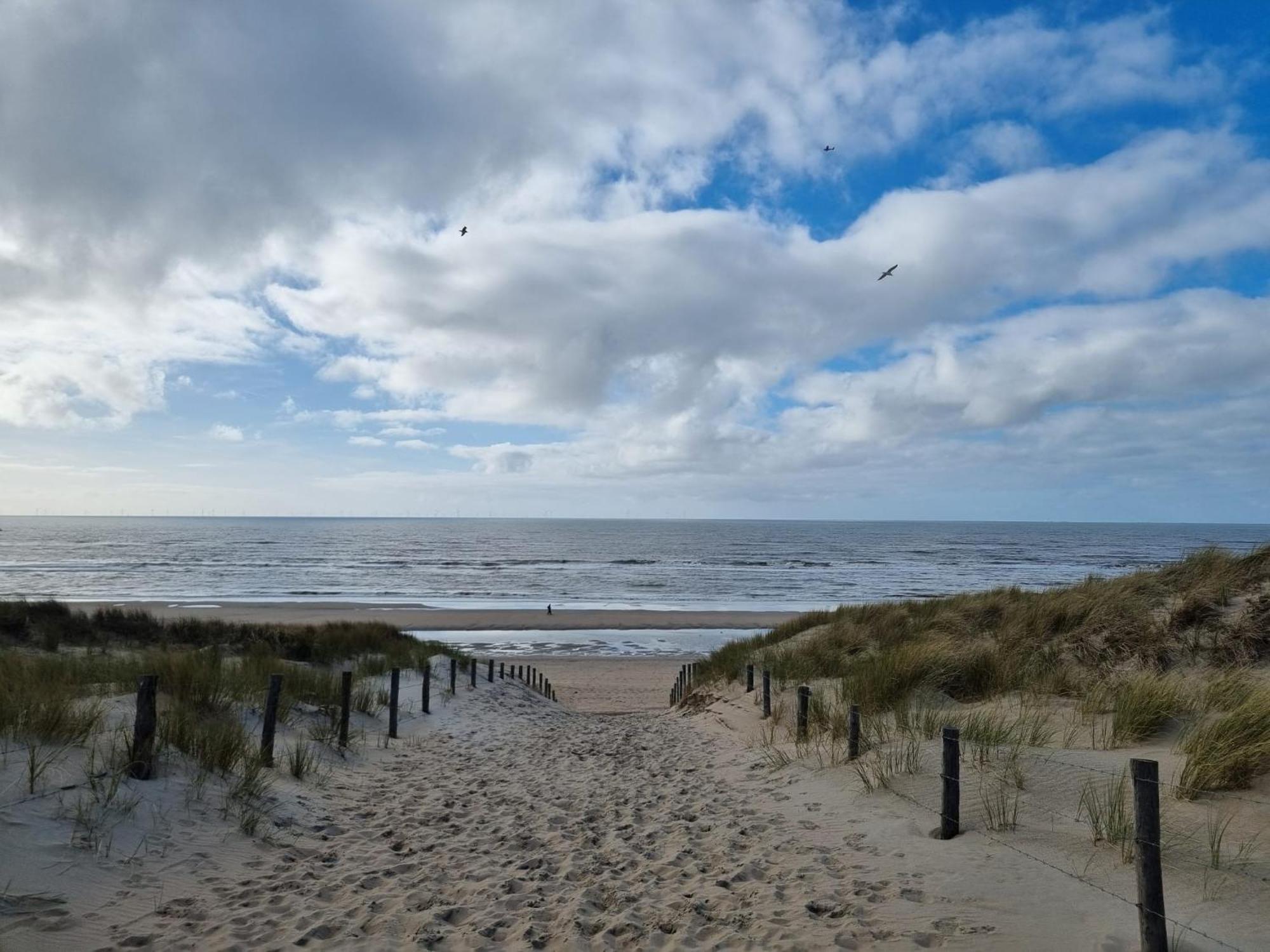 Rembrandts Beach View Zandvoort Dış mekan fotoğraf
