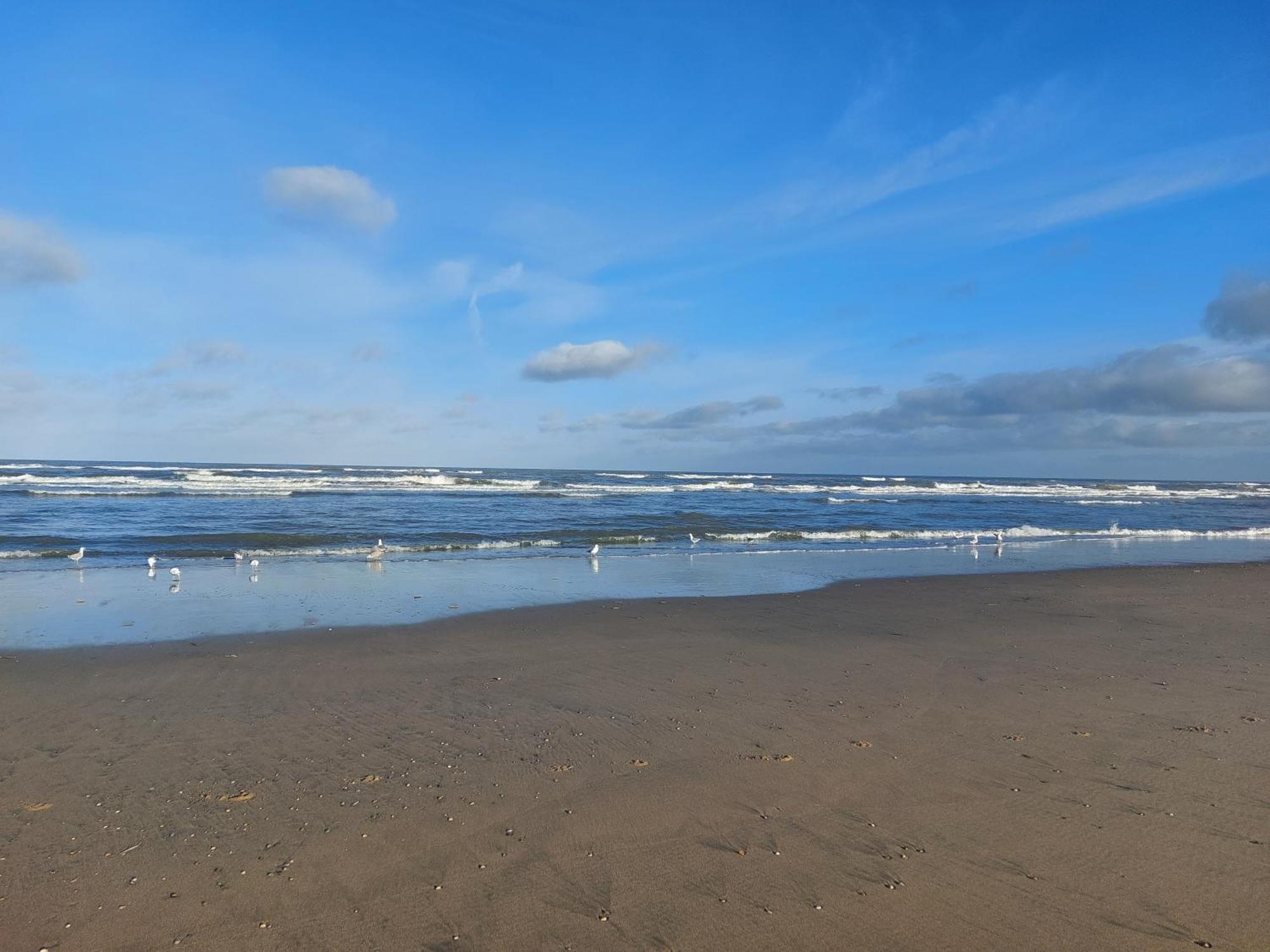 Rembrandts Beach View Zandvoort Oda fotoğraf