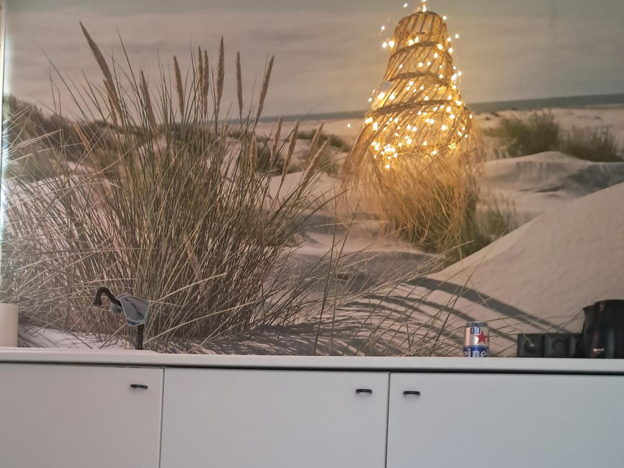 Rembrandts Beach View Zandvoort Dış mekan fotoğraf